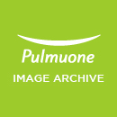 Pulmuone Arcive